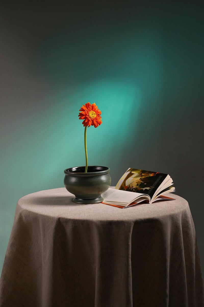 Minimalist Decor